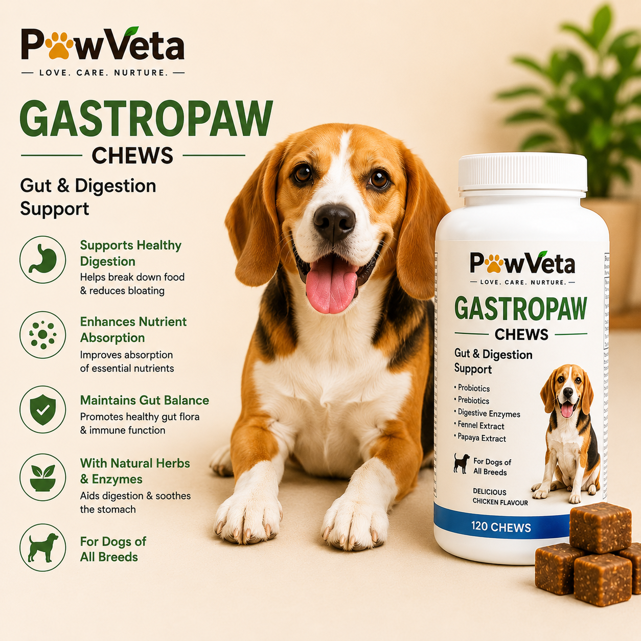 Gut & Digestion Support
