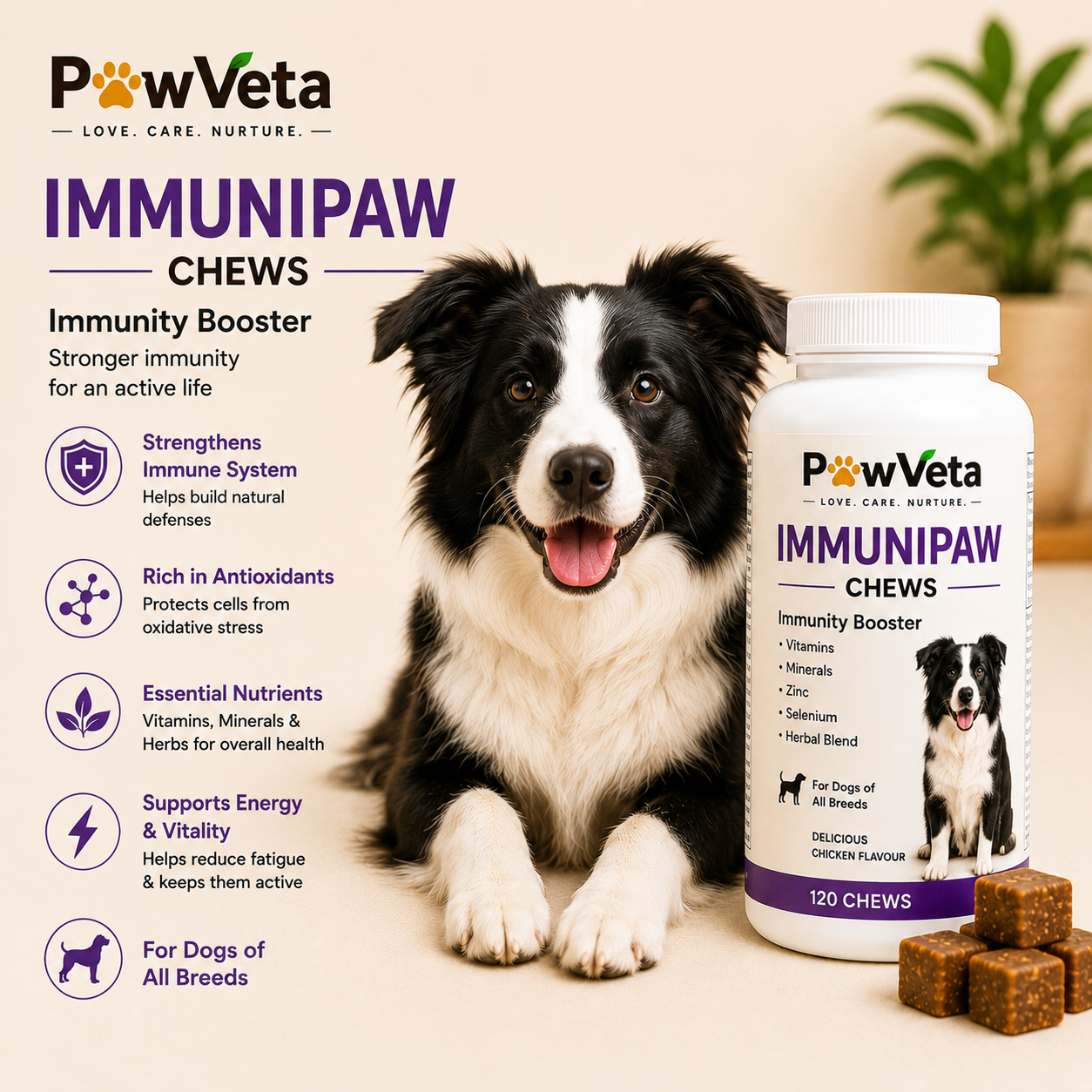 Immunity Booster