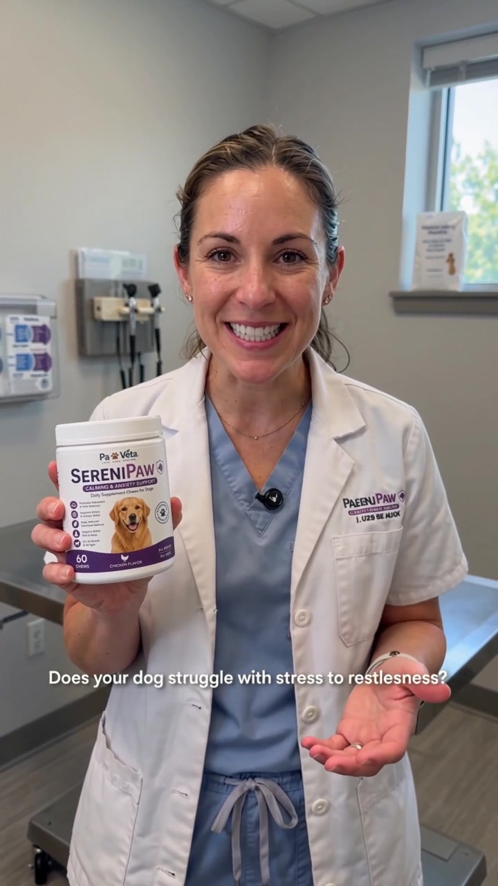 Veterinarian holding SereniPaw